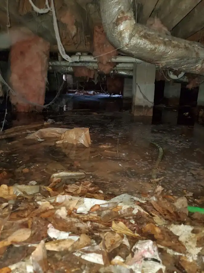 Crawl space flood assessment for Leak Detection & Repair in Seymour